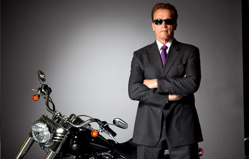 Arnold Schwartzenegger Terminator large