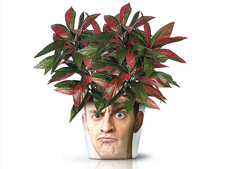 face print flower pot angry