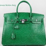 Hermes Birkin Green Ostrich Bag