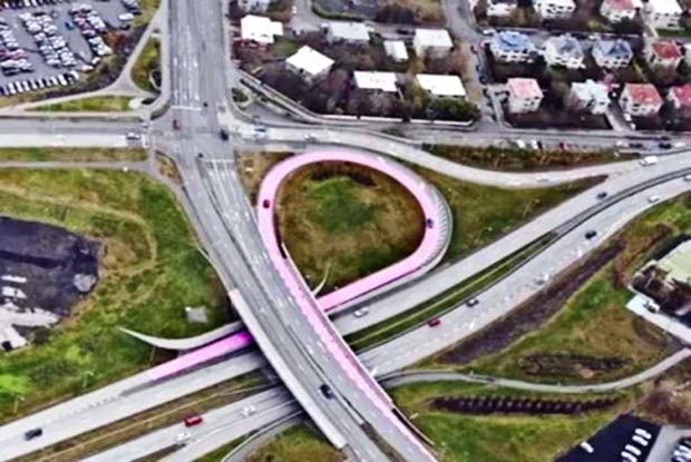 Iceland pink ribbon highway Breast Cancer support