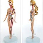 inside Barbie doll