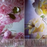 Nick Knight flowers photography roses