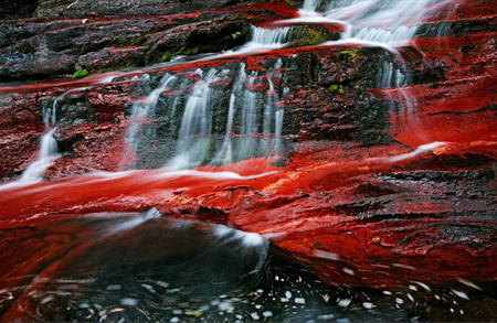 Red creek National Park Canada Michael Melford