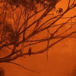 Sydney Australia red dust storm